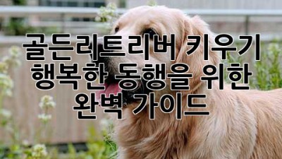 골든리트리버 키우기: 행복한 동행을 위한 완벽 가이드