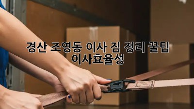 경산 조영동 이사, 짐 정리 꿀팁🍯 #이사효율성