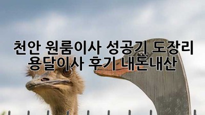 천안 원룸이사 성공기🚚💨 도장리 용달이사 후기 #내돈내산
